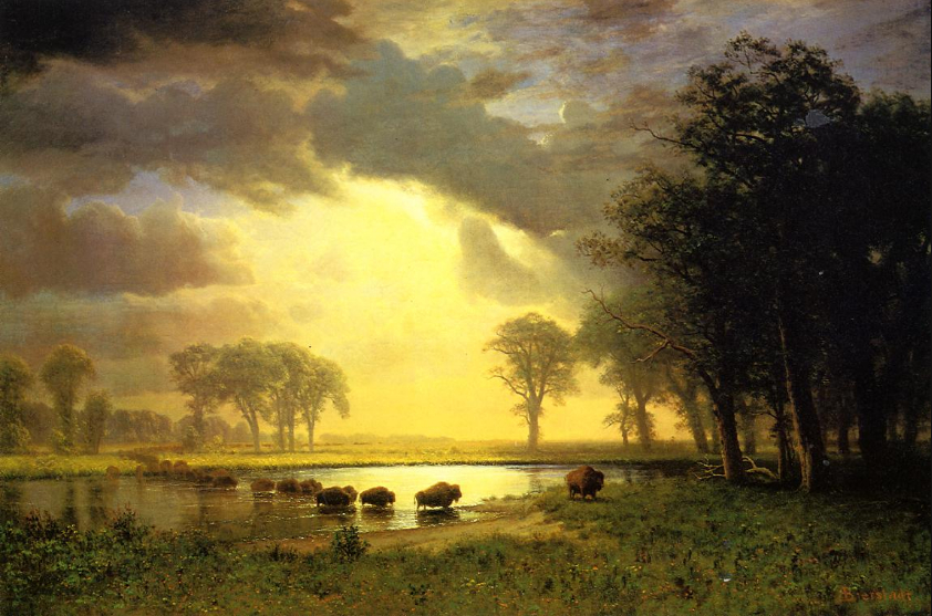 "The Buffalo Trail " -Oil Painting Albert Bierstadt