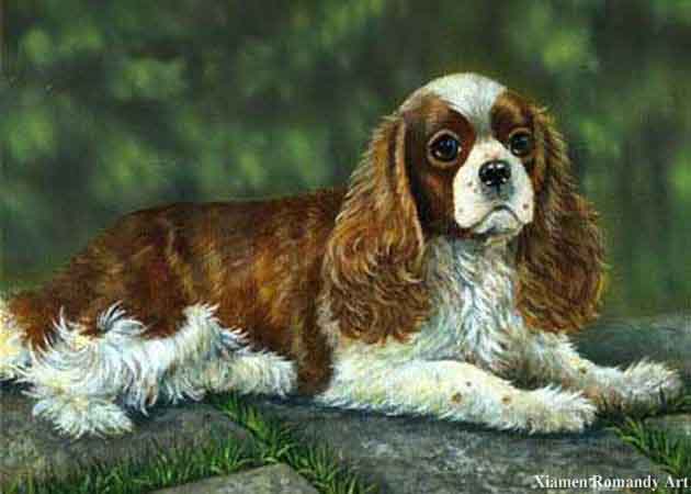 Pet Portrait Oil Paintings Tips